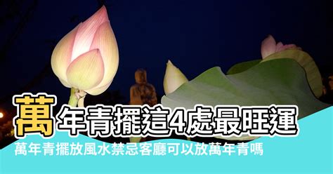 萬年青風水禁忌|【萬年青風水禁忌】客廳擺萬青風水禁忌 